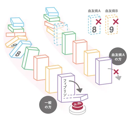 図：血友病と止血の仕組み血友病と止血の仕組み