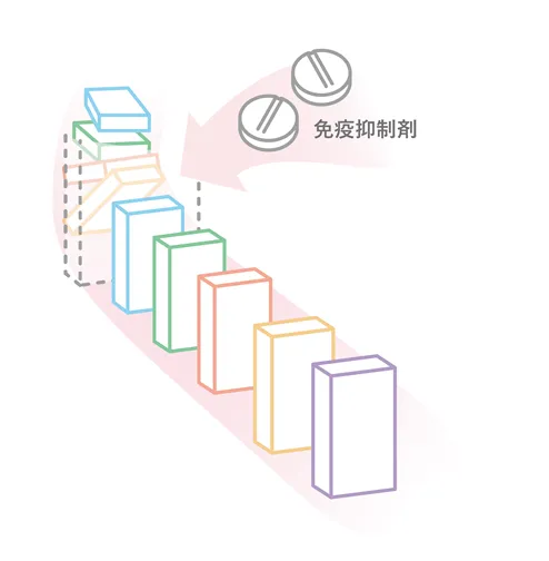 図:免疫抑制療法