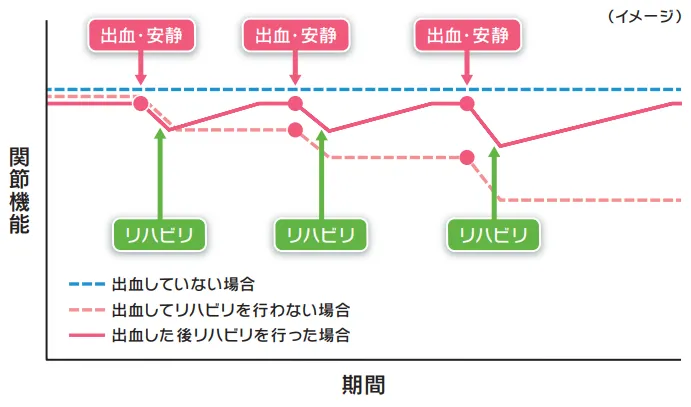 説明イラスト：関節機能