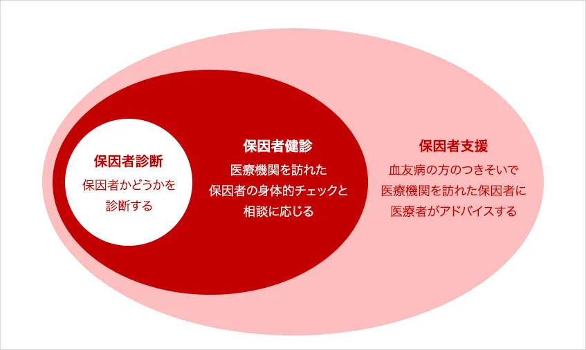 説明イラスト:保因者健診とは