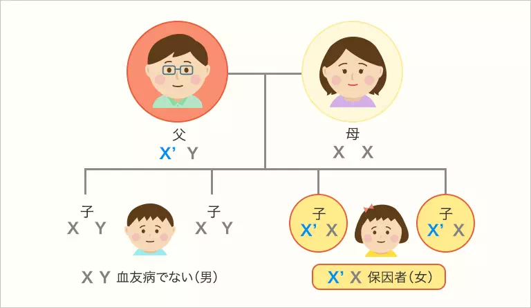 図：血友病患者が父親の場合