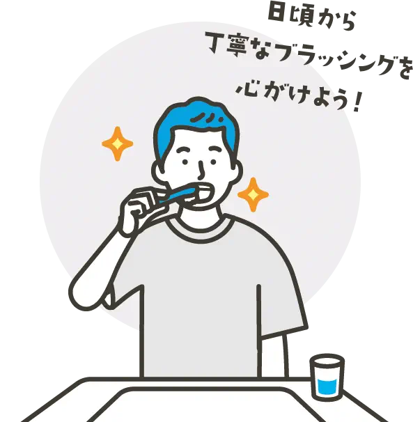 説明イラスト：成人期（20～40 歳）