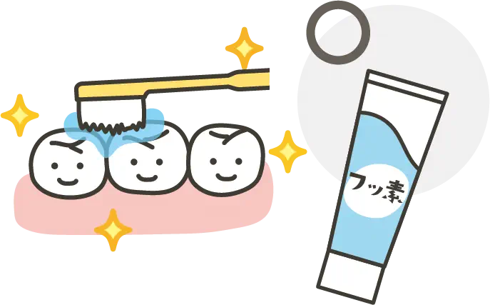 説明イラスト:フッ素は取り入れたほうがよいでしょうか?