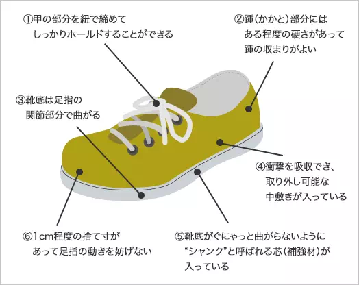 図:足にぴったり合う靴のチェックポイント