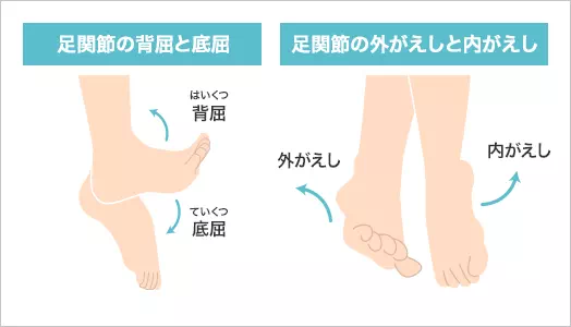 図:ユニバーサル・ジョイント