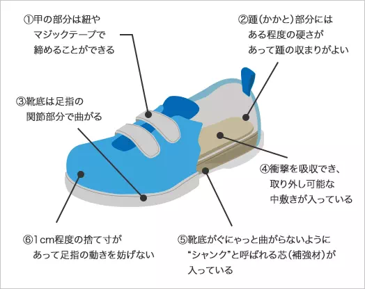 図：理想的な子ども靴